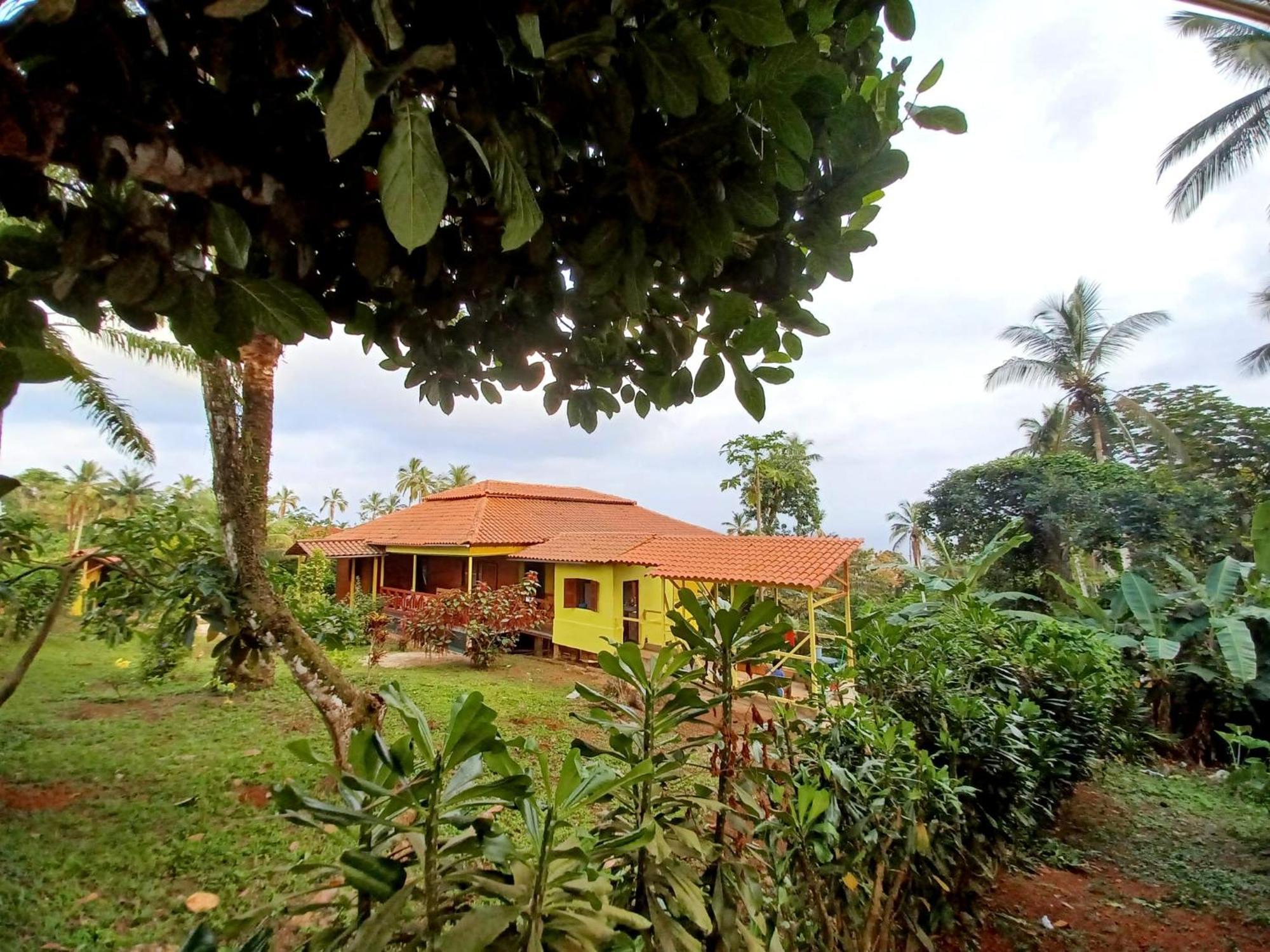 Pousadinha Mar Ave Ilha Villa Principe Exterior foto