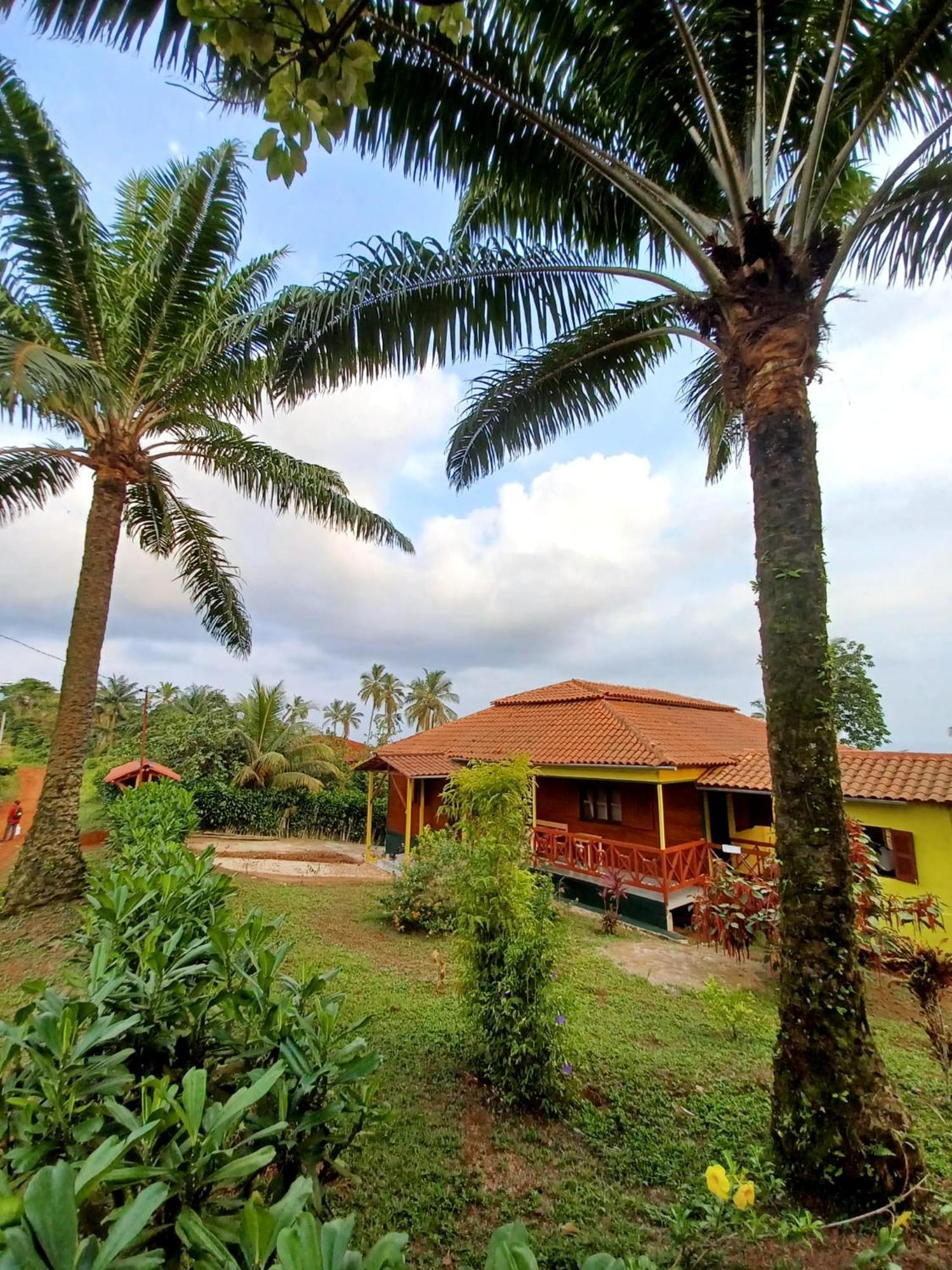 Pousadinha Mar Ave Ilha Principe Exterior foto